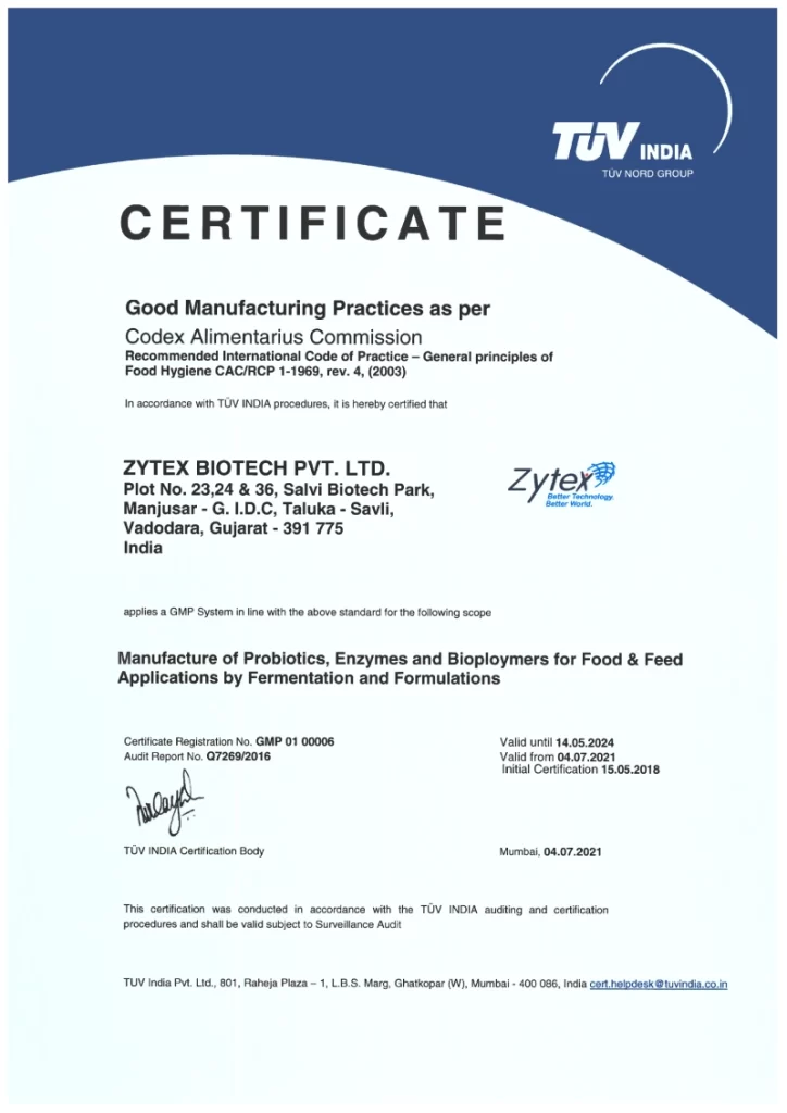 GMP Certification pdf