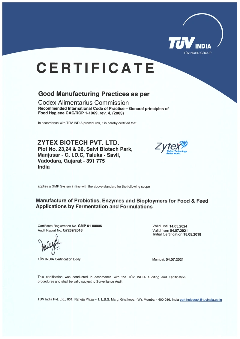 GMP Certification